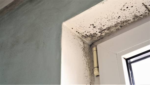 Best Post-Construction Mold Inspection  in Sunriver, OR
