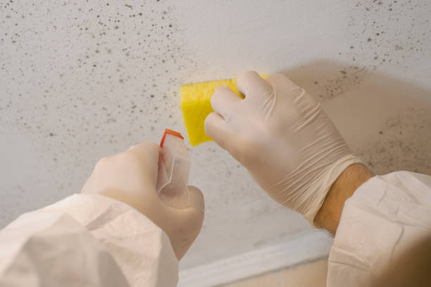 Professional Mold Removal in Sunriver, OR