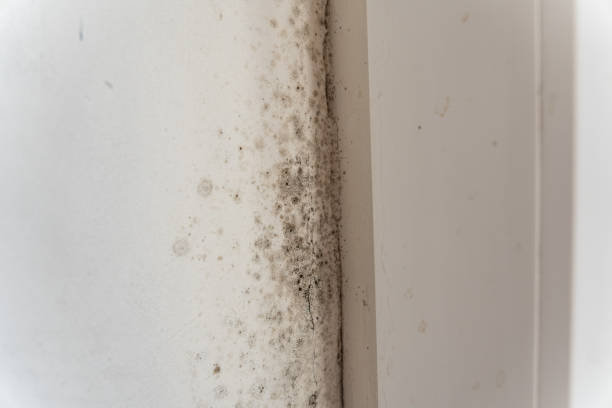 Best HVAC Mold Inspection and Cleaning  in Sunriver, OR